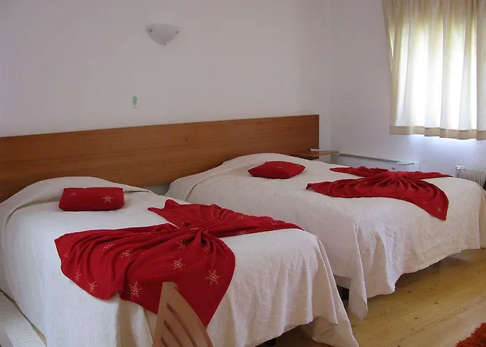 A. Montesinho Turismo Bragança