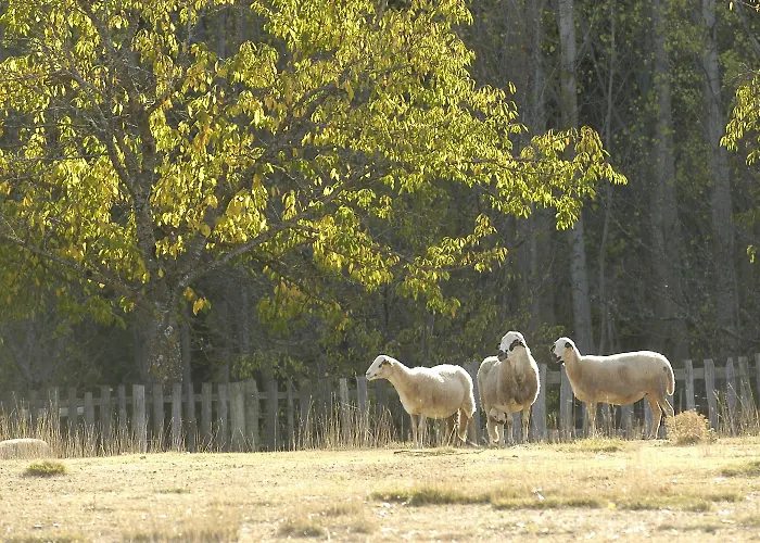 A. Montesinho Turismo Bragança