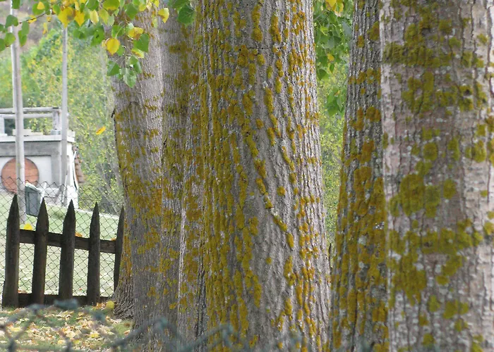 Séjour à la ferme A. Montesinho Turismo *