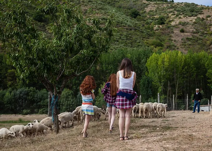 A. Montesinho Turismo Çiftlik konaklama *